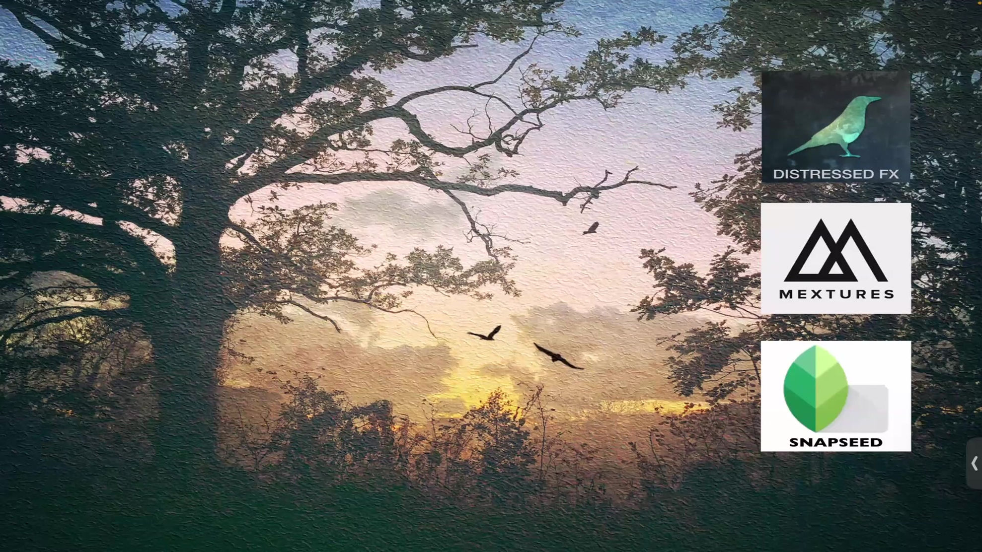 Mobile Phone Photography Standard